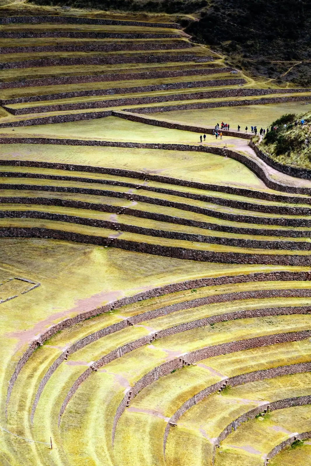 The circular agricultural terraces of Moray in Peru's Sacred Valley