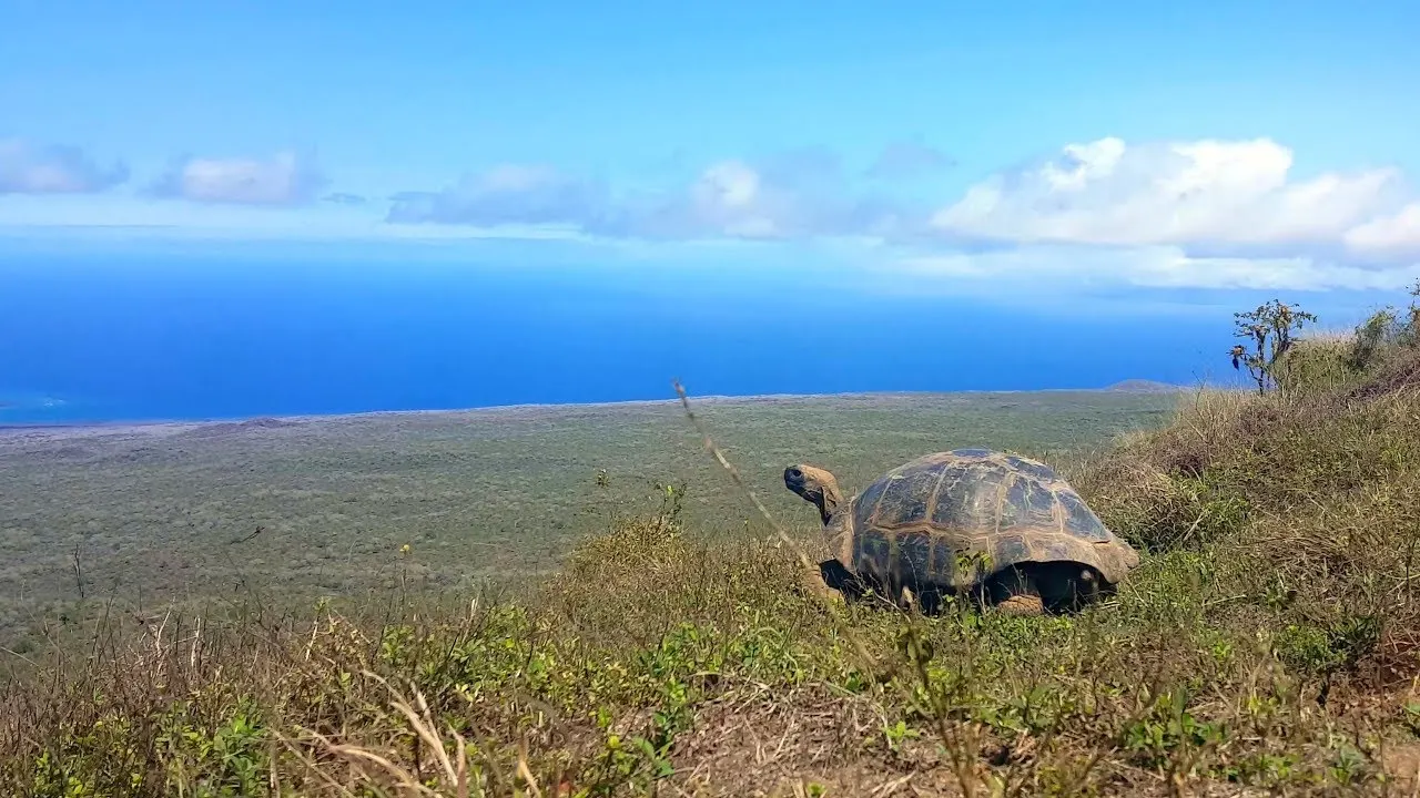 Galápagos destination landscape
