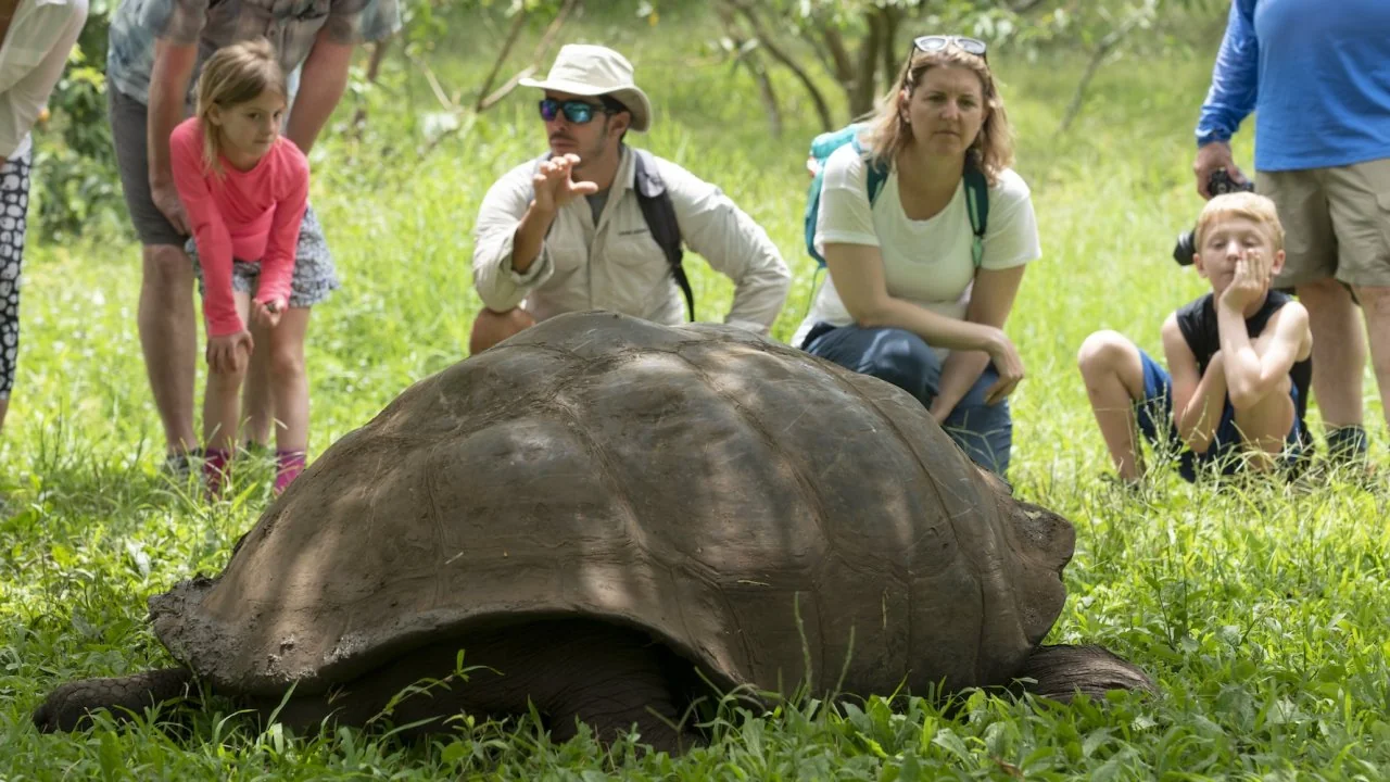 Families observing a giant Galápagos tortoise with a naturalist guide in the highlands
