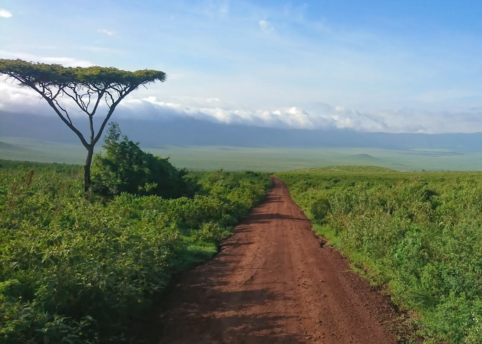 Red dirt road winding through the lush Ngorongoro highlands with the crater visible below