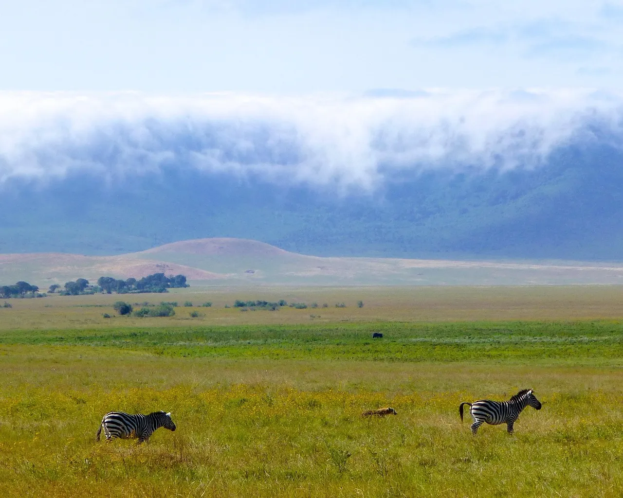 Ngorongoro Crater floor with safari wildlife viewing in Tanzania