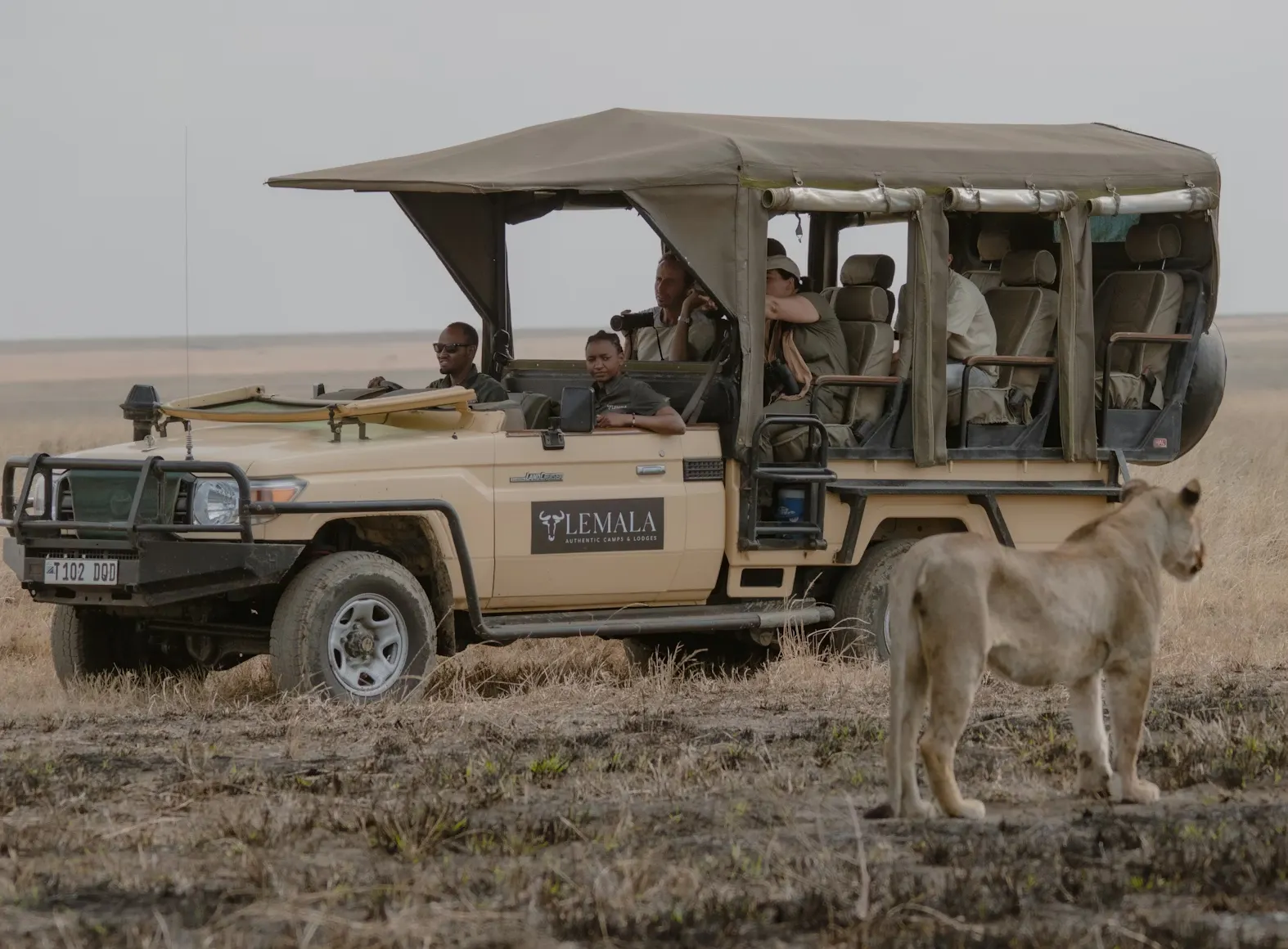 Lemala safari vehicle stopped beside a lioness on the open Serengeti plains
