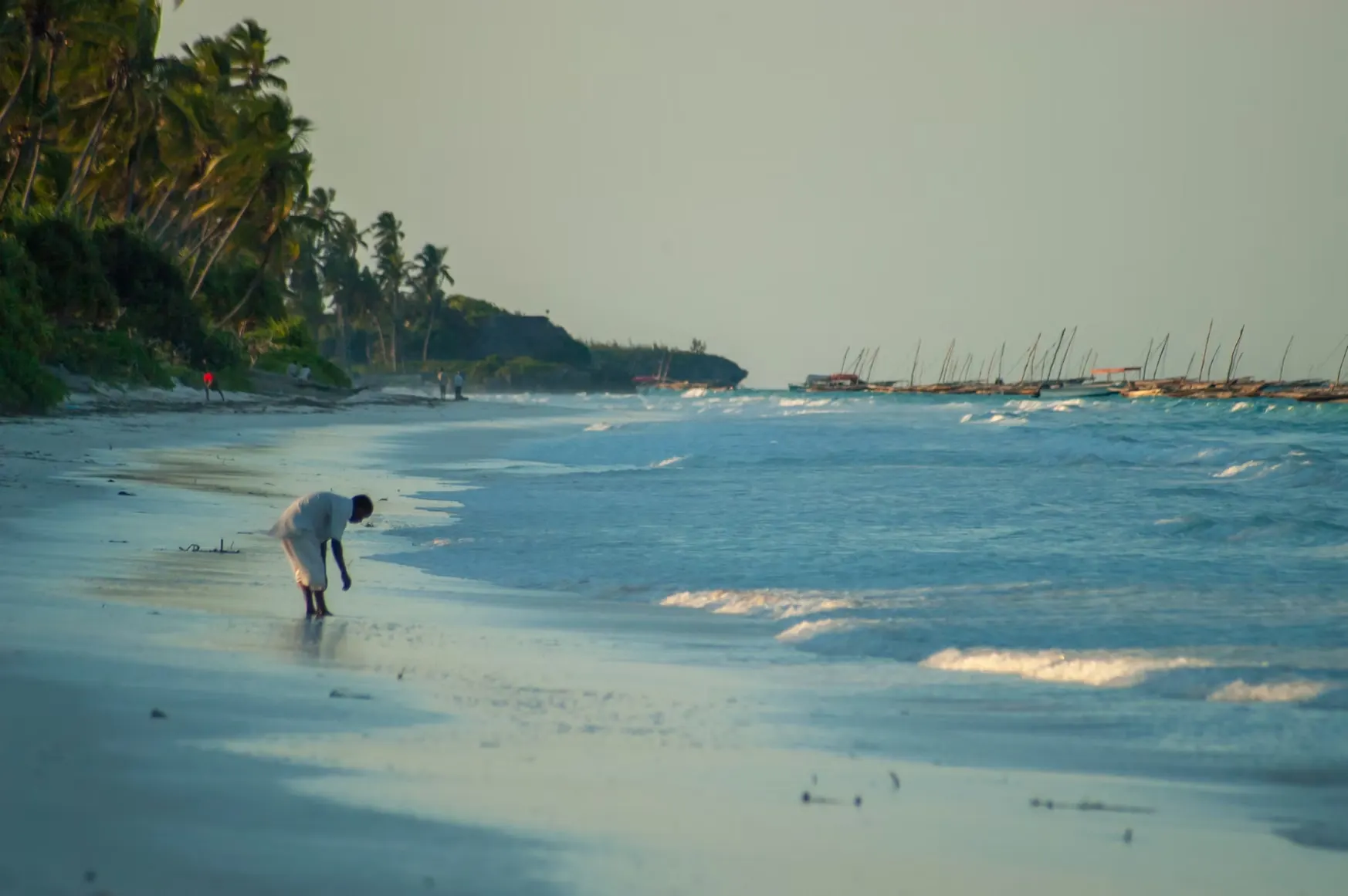 Zanzibar beach at dusk with traditional dhow boats moored along the shore and palm-lined coast