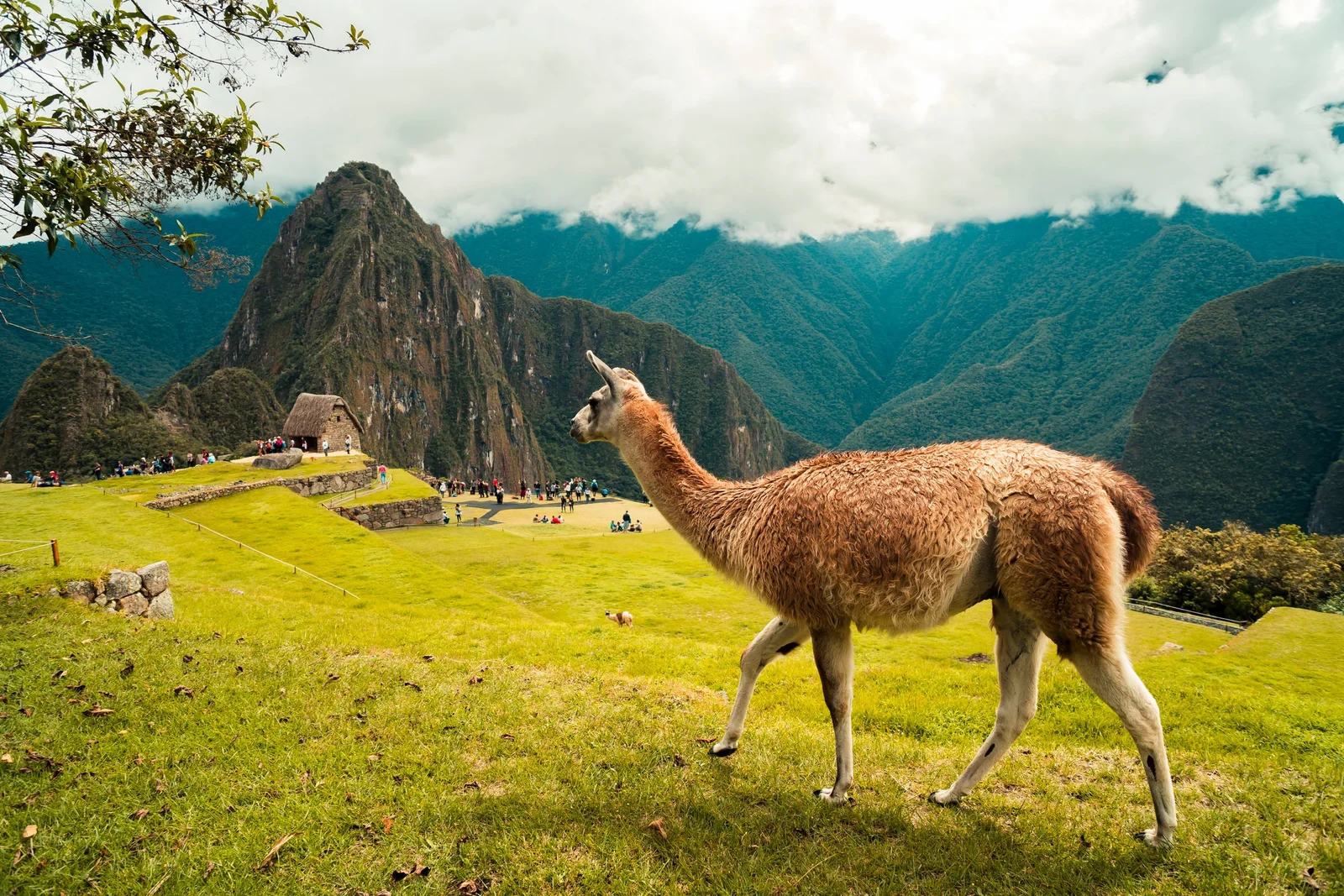 Peru destination landscape